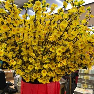 Meet your Posher, Sieng